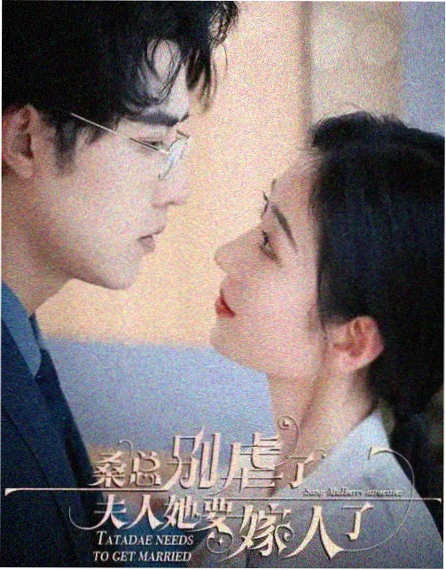 子午线以北剧集封面，长时间播放样本